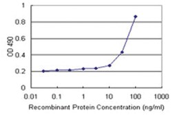 anti-CKS2, Human, Matched Antibody Pair, Abnova™