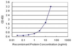 anti-CPB1 Matched Antibody Pair, Ab-2, Abnova