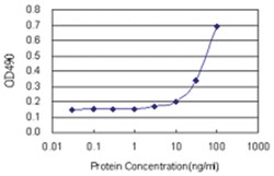 anti-CTH Ab-2 Matched Antibody Pair, Abnova&trade;