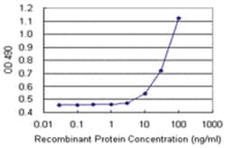 anti-DGKA Ab-1 Matched Antibody Pair, Abnova™