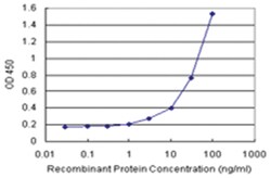 anti-SEPT1 Matched Antibody Pair, Abnova 1 Set:Antibodies, Monoclonal/Polyclonal