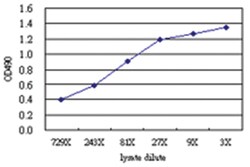 anti-DUT Matched Antibody Pair, Abnova&trade;