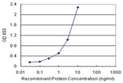 anti-ECHS1 Matched Antibody Pair, Abnova