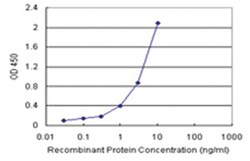 anti-EEF1G Matched Antibody Pair, Abnova 1 Set:Antibodies