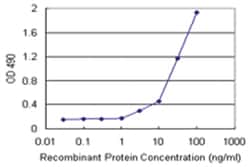anti-EEF1G Matched Antibody Pair, Abnova&trade;