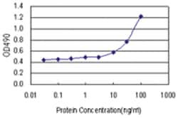 anti-EPHA2 Ab-1 Matched Antibody Pair, Abnova™