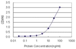 anti-STX2 Matched Antibody Pair, Abnova™