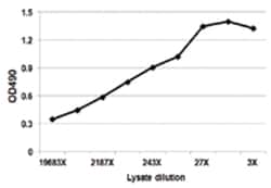 anti-F13A1, Human, Matched Antibody Pair, Abnova™