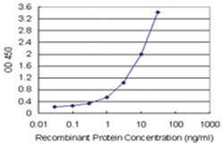 anti-FGF1 Matched Antibody Pair, Abnova