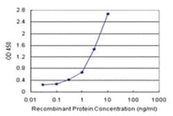 anti-FGF12 Matched Antibody Pair, Abnova