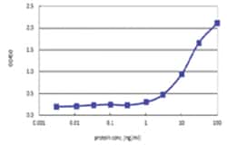 anti-FOXF2, Human, Matched Antibody Pair, Abnova&trade;