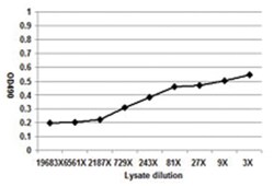 anti-GAD2, Human, Matched Antibody Pair, Abnova&trade;
