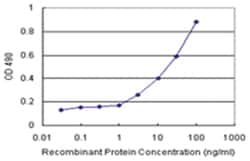 anti-GALT Matched Antibody Pair, Ab-1, Abnova