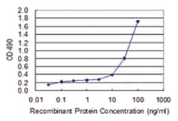 anti-GBP2, Human, Matched Antibody Pair, Abnova&trade;