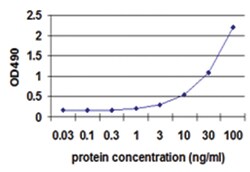 GCG, Human, Matched Antibody Pair (AP42), Abnova 1 Set:Antibodies, Monoclonal/Polyclonal