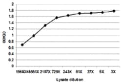 GFAP, Human, Matched Antibody Pair (AP52), Abnova™