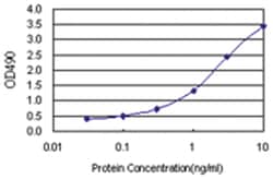 anti-NR3C1 Matched Antibody Pair, Abnova&trade;