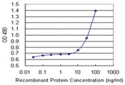 anti-CXCL1, Human, Matched Antibody Pair, Abnova™