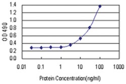 anti-GSTA3 Matched Antibody Pair, Abnova™