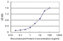 anti-GSTP1 Matched Antibody Pair, Abnova