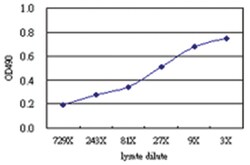 anti-GTF3C2 Matched Antibody Pair, Abnova&trade;