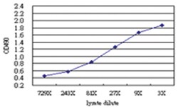 anti-HAL Matched Antibody Pair, Abnova™