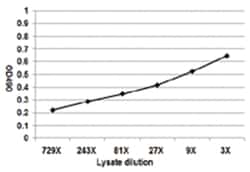 anti-HLA-DMA, Human, Matched Antibody Pair, Abnova&trade;