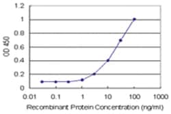 anti-HLA-DPA1 Matched Antibody Pair, Abnova