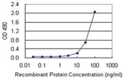 Abnova anti-HMGB1 Ab-2 Matched Antibody Pair, Abnova™