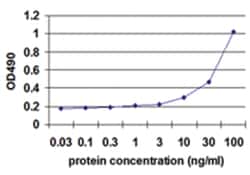 anti-HMGB1 Ab-6 Matched Antibody Pair, Abnova™