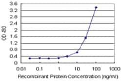 Abnova Corporation HMGB2, Human, Matched Antibody Pair (AP43), Abnova™