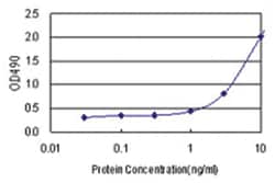 anti-HOXA1 Matched Antibody Pair, Abnova™