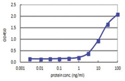 anti-HOXB7, Human, Matched Antibody Pair, Abnova 1 Set:Antibodies, Monoclonal/Polyclonal