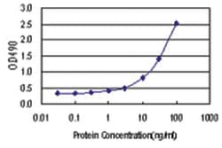 anti-HPX Matched Antibody Pair, Abnova 1 Set; Unlabeled:Antibodies, Monoclonal/Polyclonal