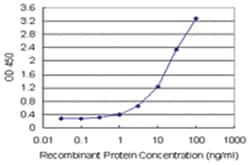 anti-DNAJB2 Matched Antibody Pair, Abnova
