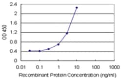 anti-HSPA1L Matched Antibody Pair, Abnova