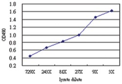anti-HSPB1 Matched Antibody Pair, Abnova&trade;