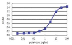 IFNA2, Human, Matched Antibody Pair (AP42), Abnova&trade;