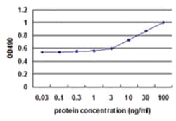 anti-IL1B Matched Antibody Pair, Abnova