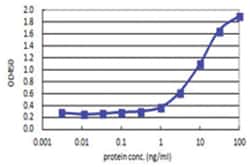 anti-IL4R, Human, Matched Antibody Pair, Abnova 1 Set:Anticorps, Monoclonal/Polyclonal