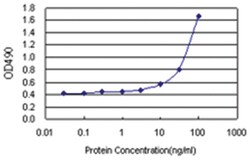 anti-IDO1 Matched Antibody Pair, Abnova™