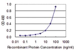 anti-IRF2, Human, Matched Antibody Pair, Abnova&trade;
