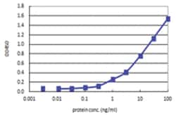 anti-KHK, Human, Matched Antibody Pair, Abnova 1 Set:Antibodies, Monoclonal/Polyclonal