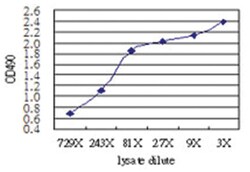 anti-LLGL2 (Human) Matched Antibody Pair, Abnova&trade;