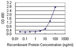 anti-LTBR Matched Antibody Pair, Abnova™