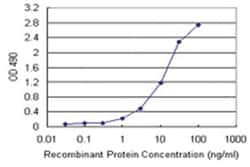 SMAD3, Human, Matched Antibody Pair (AP44), Abnova™