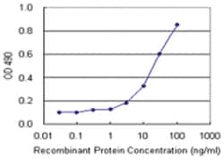 anti-MCM4 Matched Antibody Pair, Abnova™