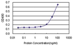 anti-MMP3 Matched Antibody Pair, Abnova™