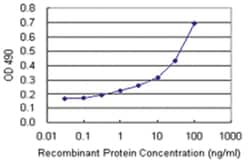 anti-MSRA Matched Antibody Pair, Abnova&trade;