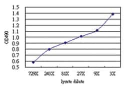 anti-MSX2 Matched Antibody Pair, Abnova&trade;